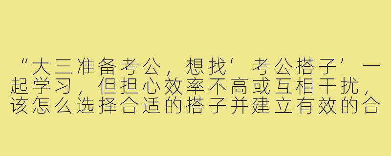 “大三准备考公，想找‘考公搭子’一起学习，但担心效率不高或互相干扰，该怎么选择合适的搭子并建立有效的合作模式？”-大三考公搭子