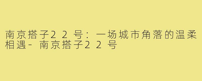 南京搭子22号:一场城市角落的温柔相遇-南京搭子22号