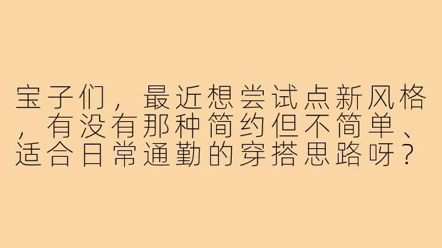 宝子们,最近想尝试点新风格,有没有那种简约但不简单、适合日常通勤的穿搭思路呀?-宝子们的穿搭