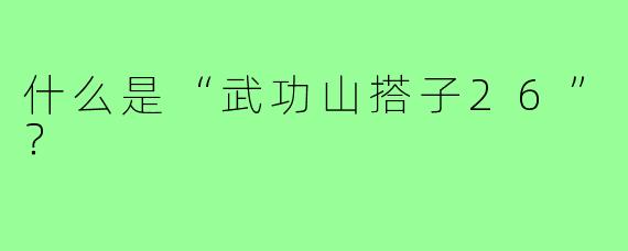 什么是“武功山搭子26”?