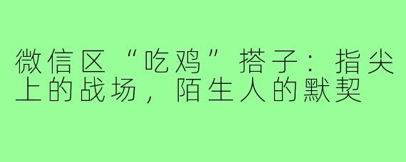 微信区“吃鸡”搭子：指尖上的战场，陌生人的默契