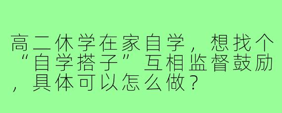 高二休学在家自学，想找个“自学搭子”互相监督鼓励，具体可以怎么做？