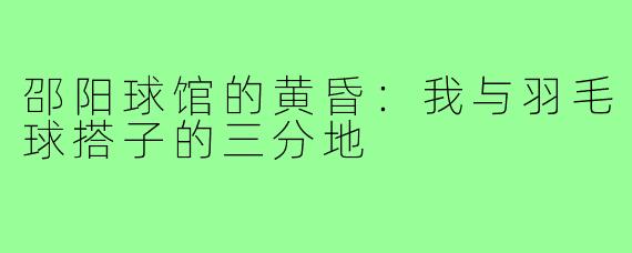邵阳球馆的黄昏:我与羽毛球搭子的三分地