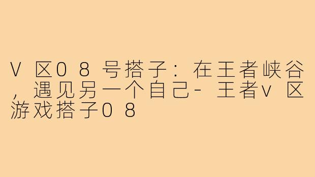 V区08号搭子:在王者峡谷,遇见另一个自己-王者v区游戏搭子08