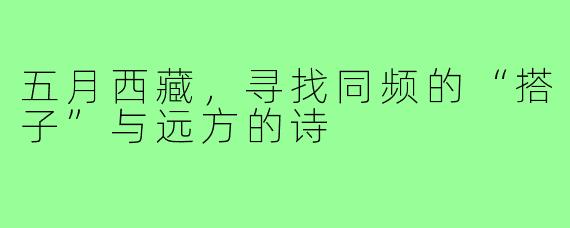五月西藏,寻找同频的“搭子”与远方的诗