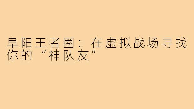 阜阳王者圈:在虚拟战场寻找你的“神队友”