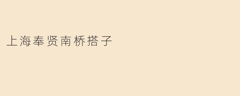 上海奉贤南桥搭子