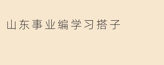 山东事业编学习搭子