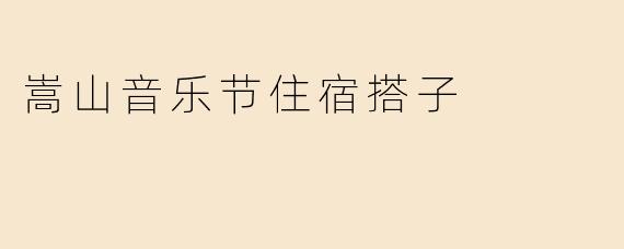 嵩山音乐节住宿搭子