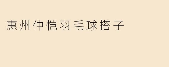 惠州仲恺羽毛球搭子