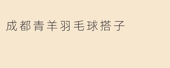 成都青羊羽毛球搭子