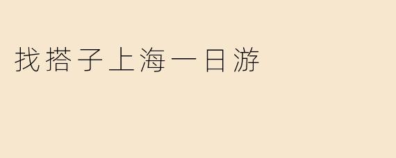 找搭子上海一日游