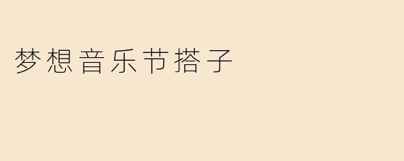 梦想音乐节搭子