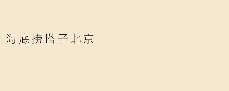 海底捞搭子北京