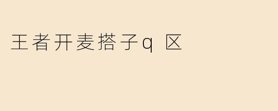 王者开麦搭子q区