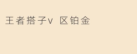 王者搭子v区铂金
