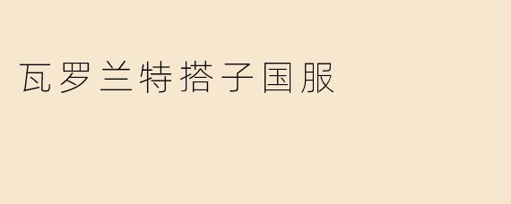 瓦罗兰特搭子国服