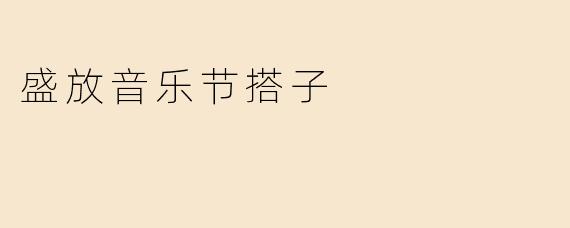 盛放音乐节搭子