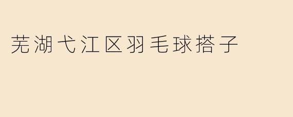 芜湖弋江区羽毛球搭子