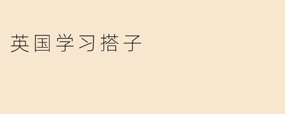 英国学习搭子