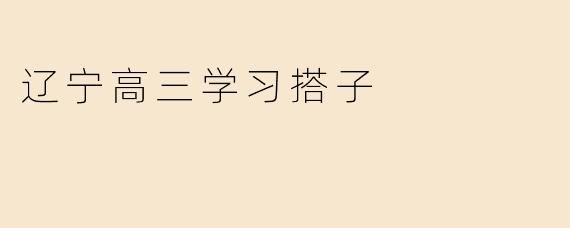 辽宁高三学习搭子
