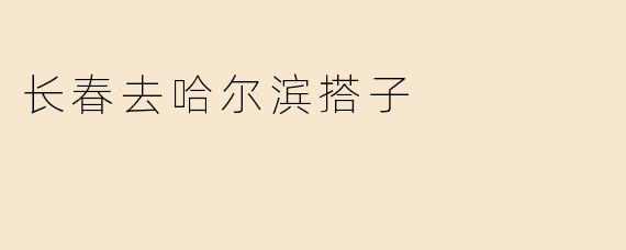 长春去哈尔滨搭子