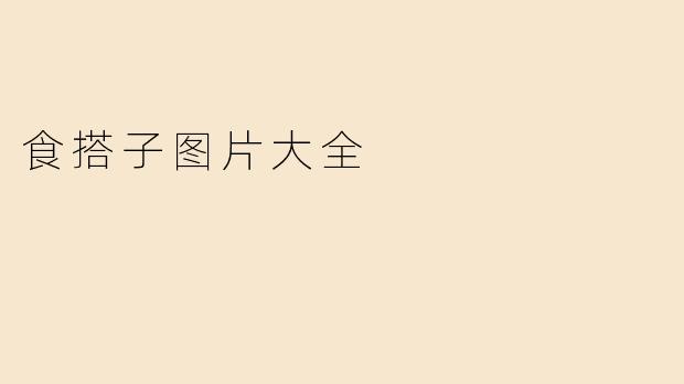 食搭子图片大全