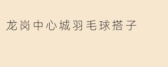 龙岗中心城羽毛球搭子