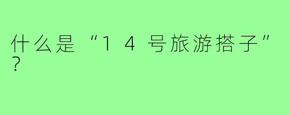 什么是“14号旅游搭子”？