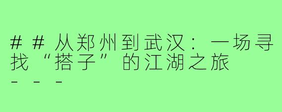 ##从郑州到武汉：一场寻找“搭子”的江湖之旅

---