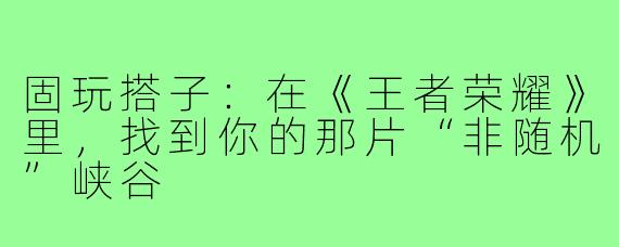 固玩搭子：在《王者荣耀》里，找到你的那片“非随机”峡谷