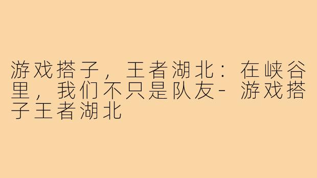 游戏搭子，王者湖北：在峡谷里，我们不只是队友-游戏搭子王者湖北