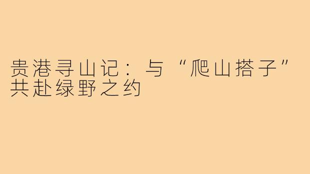 贵港寻山记：与“爬山搭子”共赴绿野之约
