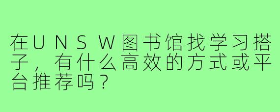 在UNSW图书馆找学习搭子，有什么高效的方式或平台推荐吗？