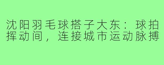 沈阳羽毛球搭子大东：球拍挥动间，连接城市运动脉搏