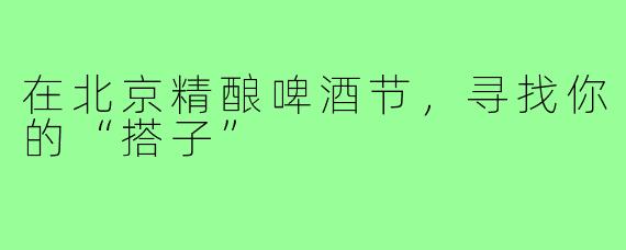 在北京精酿啤酒节，寻找你的“搭子”