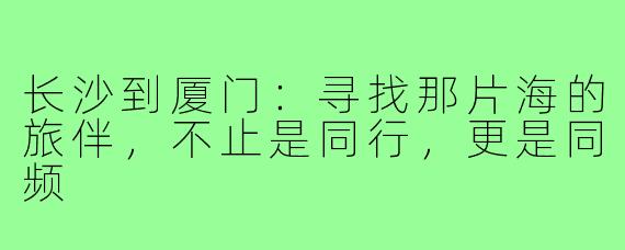 长沙到厦门：寻找那片海的旅伴，不止是同行，更是同频