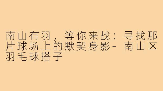 南山有羽，等你来战：寻找那片球场上的默契身影-南山区羽毛球搭子