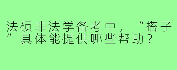法硕非法学备考中，“搭子”具体能提供哪些帮助？