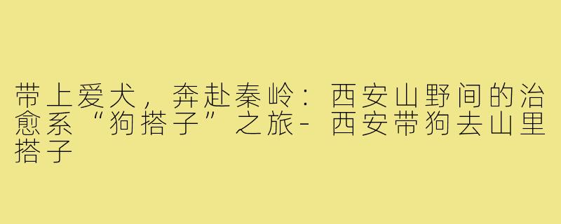 带上爱犬,奔赴秦岭:西安山野间的治愈系“狗搭子”之旅-西安带狗去山里搭子