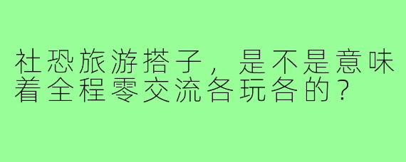 社恐旅游搭子，是不是意味着全程零交流各玩各的？