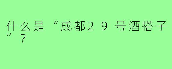 什么是“成都29号酒搭子”？
