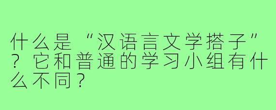 什么是“汉语言文学搭子”？它和普通的学习小组有什么不同？