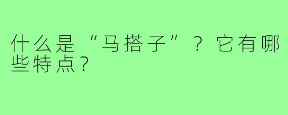 什么是“马搭子”？它有哪些特点？