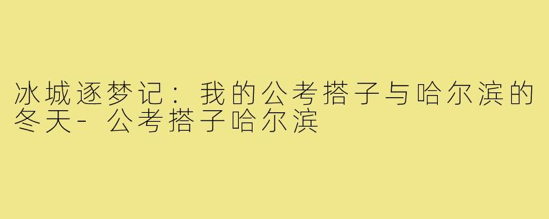 冰城逐梦记：我的公考搭子与哈尔滨的冬天-公考搭子哈尔滨