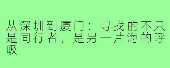 从深圳到厦门：寻找的不只是同行者，是另一片海的呼吸