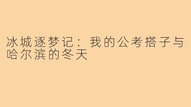 冰城逐梦记：我的公考搭子与哈尔滨的冬天