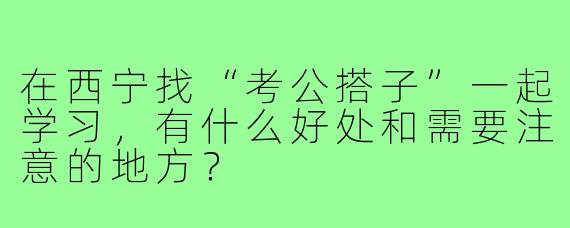 在西宁找“考公搭子”一起学习，有什么好处和需要注意的地方？