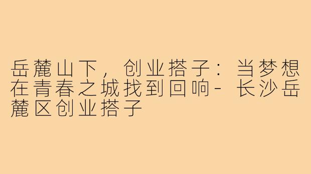 岳麓山下,创业搭子:当梦想在青春之城找到回响-长沙岳麓区创业搭子