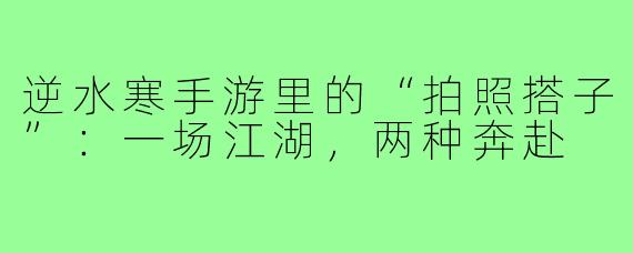 逆水寒手游里的“拍照搭子”：一场江湖，两种奔赴